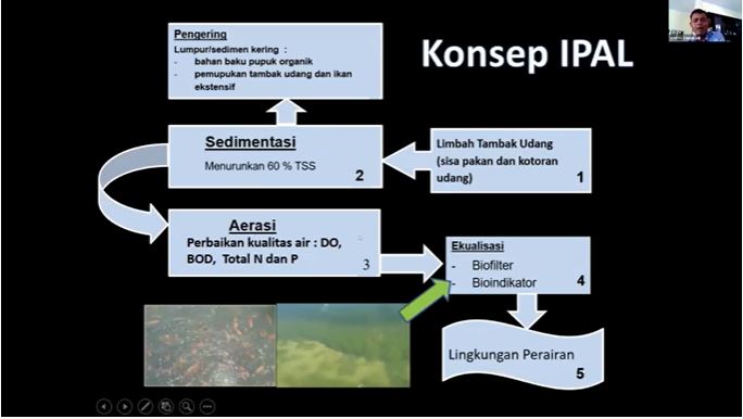Designing effective wastewater treatment for shrimp farming in Indonesia.